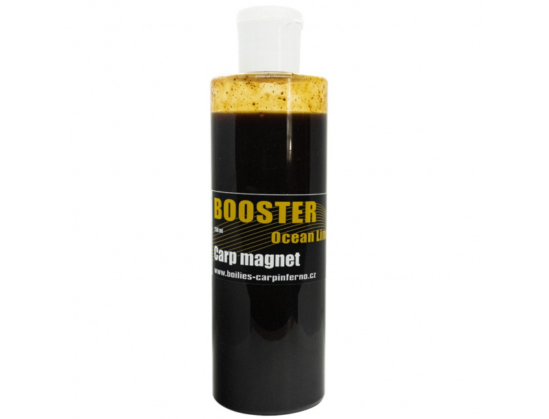 Booster Carp magnet